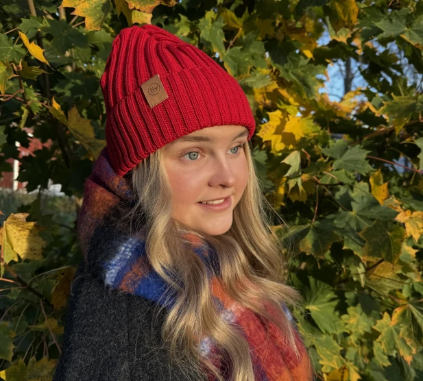 tyrarodkvadrat image